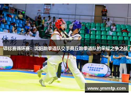 锦标赛循环赛：沈阳跆拳道队交手商丘跆拳道队的荣耀之争之战