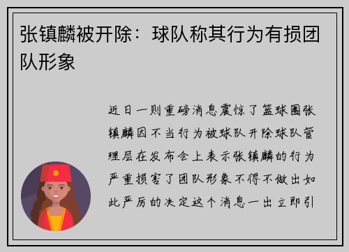 张镇麟被开除：球队称其行为有损团队形象